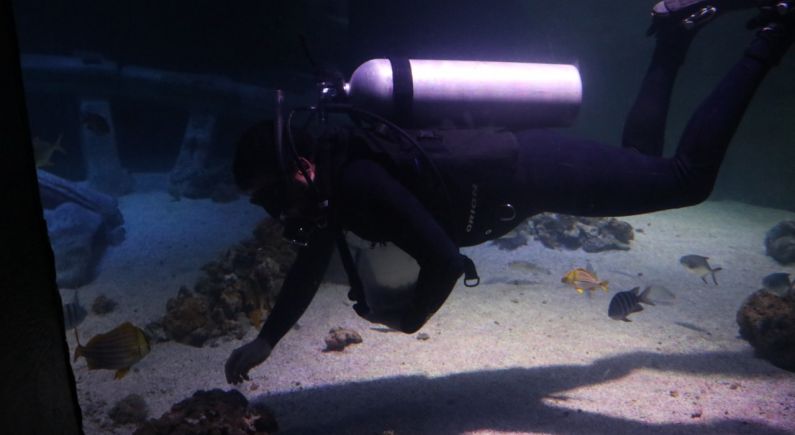 Oceanic Aquarium em Balneário Camboriú