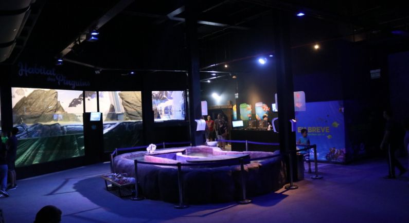 Oceanic Aquarium em Balneário Camboriú