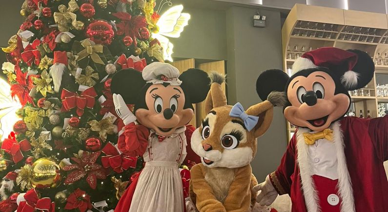 Sibara Hotel - Convenções