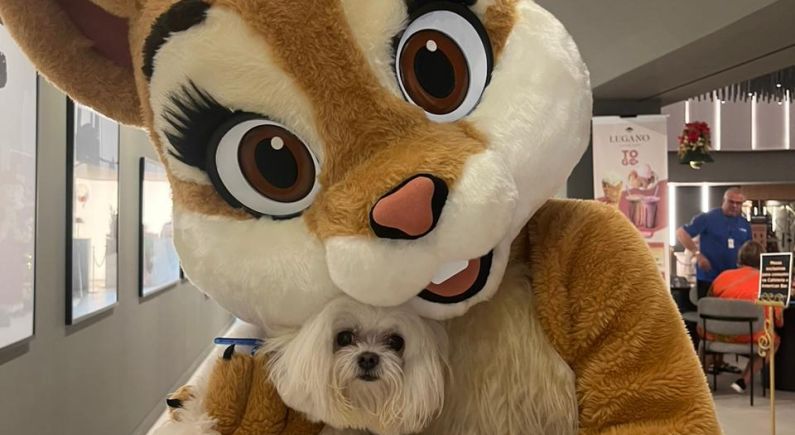 Sibara Hotel - Convenções